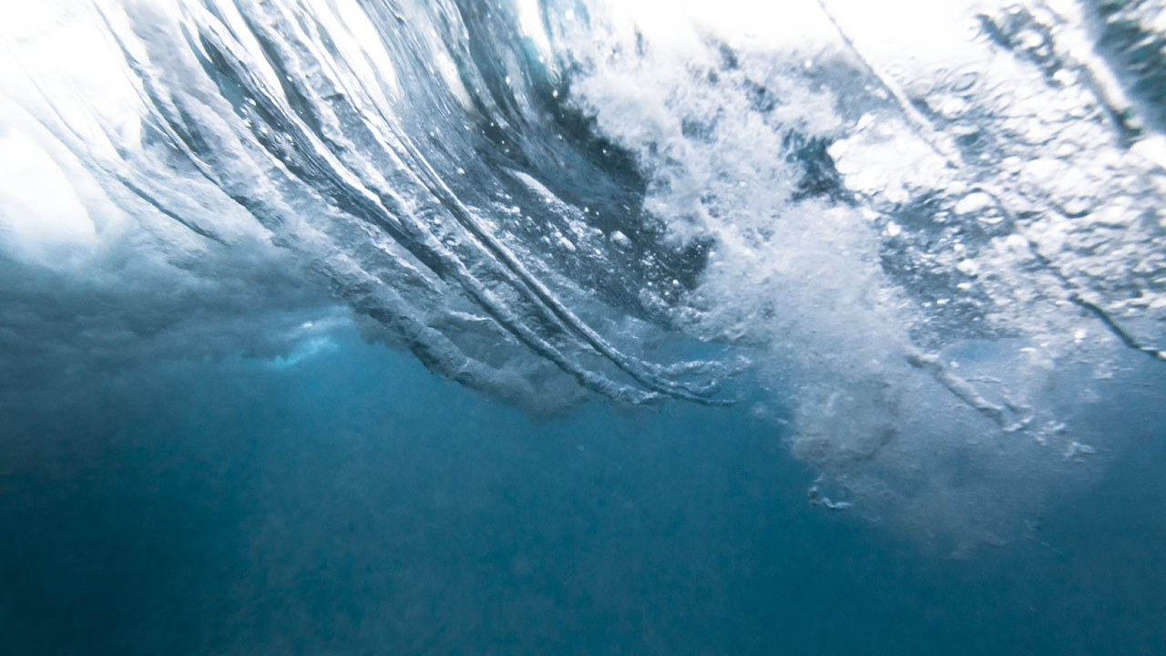 9Q0A2559 Rodrigo Pereira Lopes